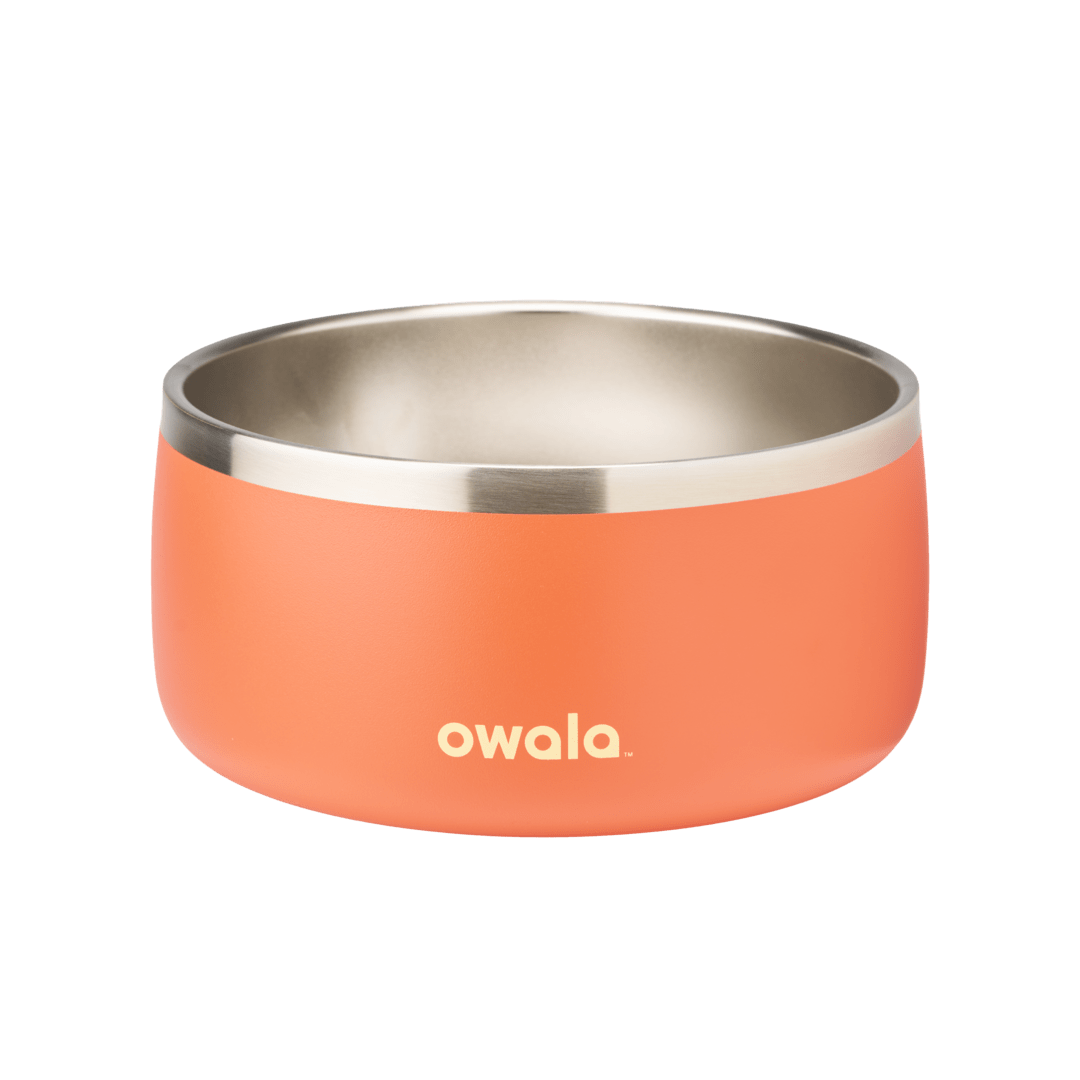 Pet Bowl F8