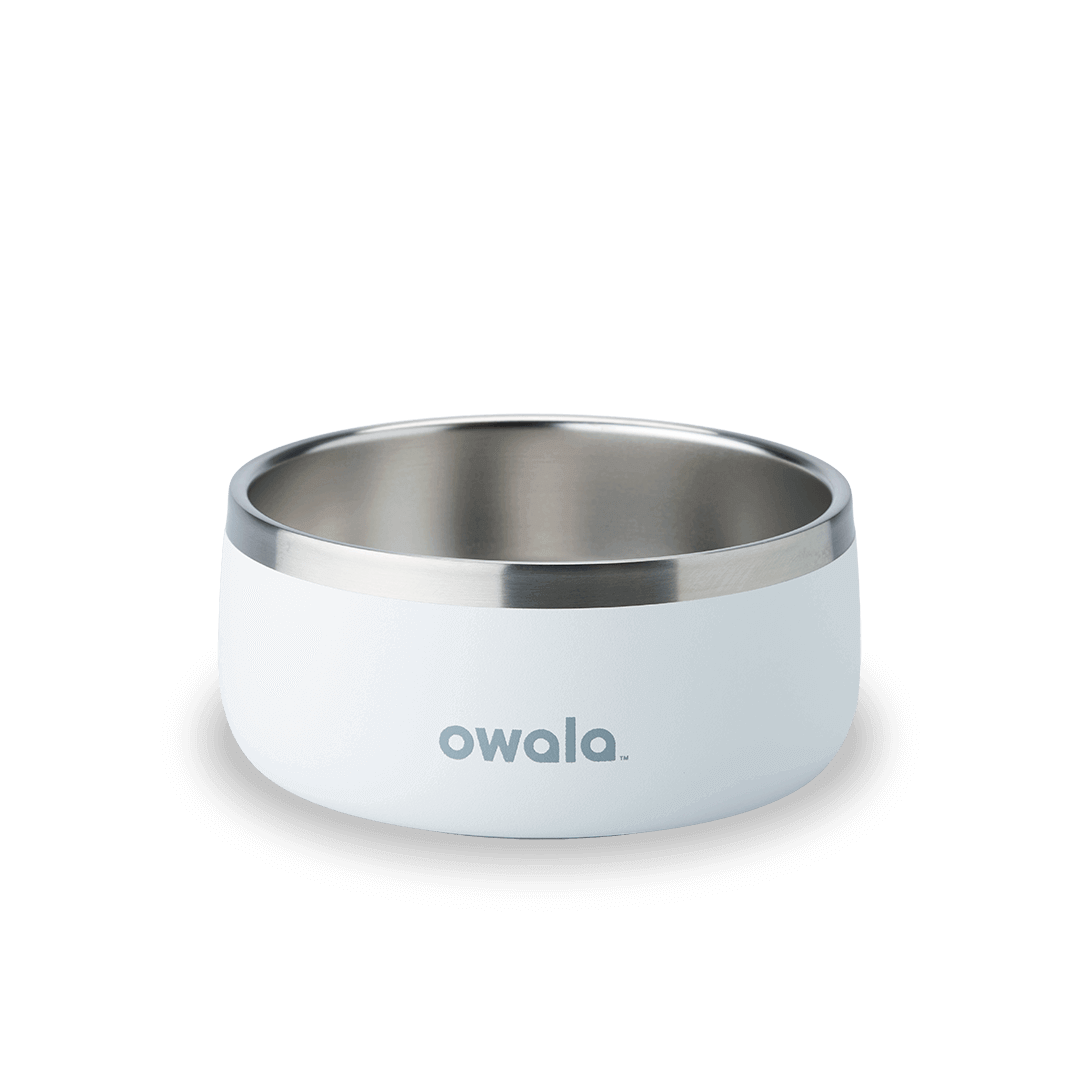 Pet Bowl F8