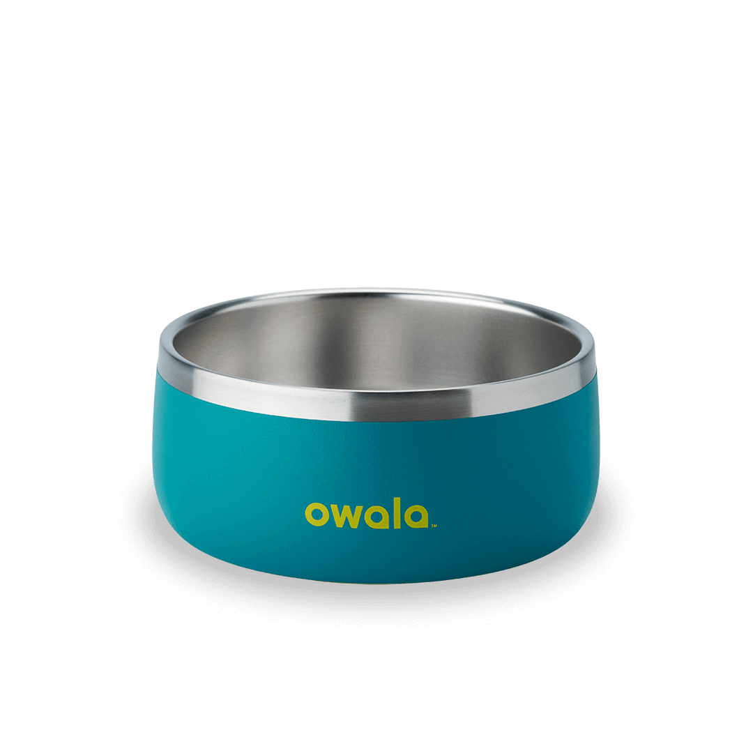 Pet Bowl F8
